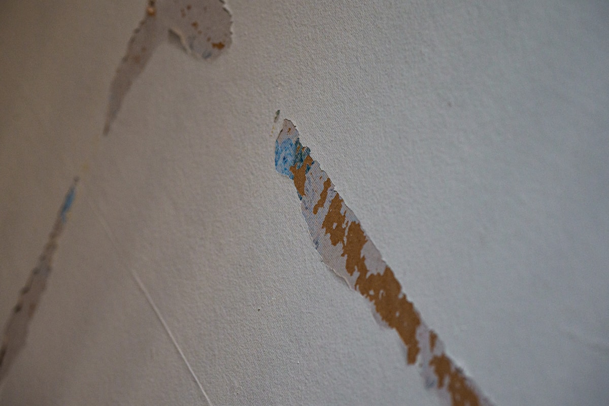 Structural Drying service in Killeen, TX